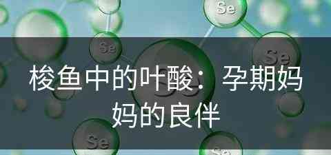 梭鱼中的叶酸：孕期妈妈的良伴